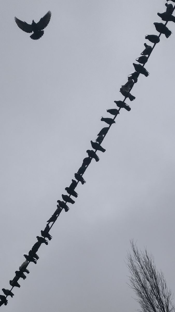 Wetter Photos Rumänien. Wettervorhersagen mit schönen Fotos von YanBog