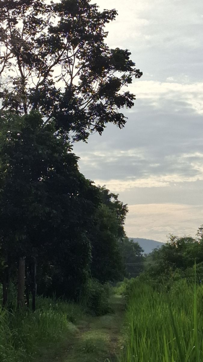 Weather Photos in Thailand. Weather forecasts with beautiful photos by Carl Manchester