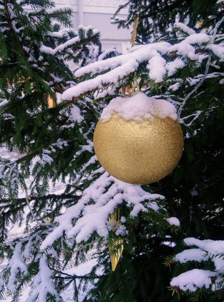 Photographer Jea, Weather Photos in Ostrov Yelagin - Weawow