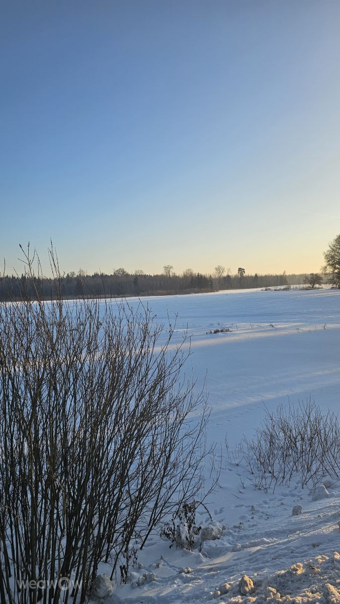 Weather Photos in لاتفيا. Weather forecasts with beautiful photos by Sandra Bokisha