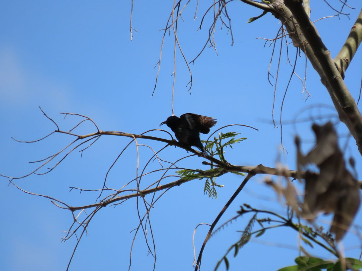 Petaẖ Tiqvaの天気写真. Sviatoslavの美しい写真による天気予報
