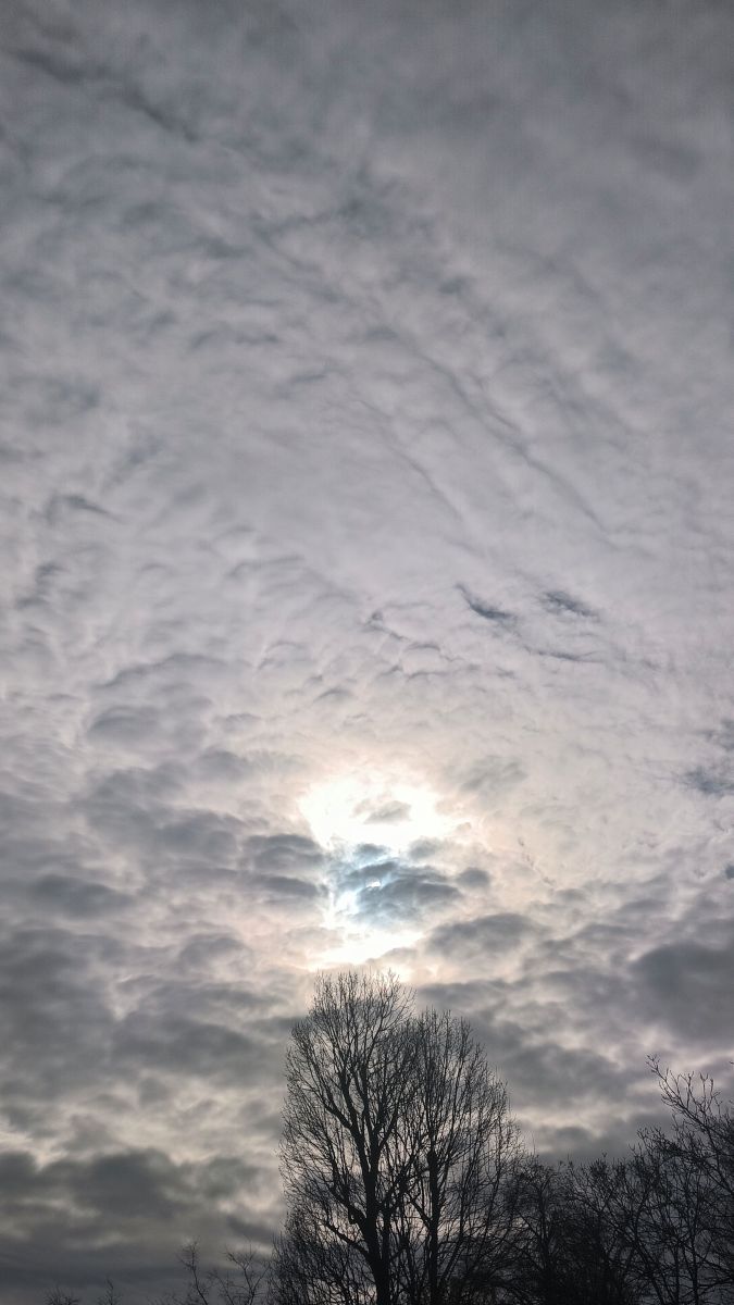 Fotos sobre el clima en București. Pronósticos del tiempo con hermosas fotos de YanBog