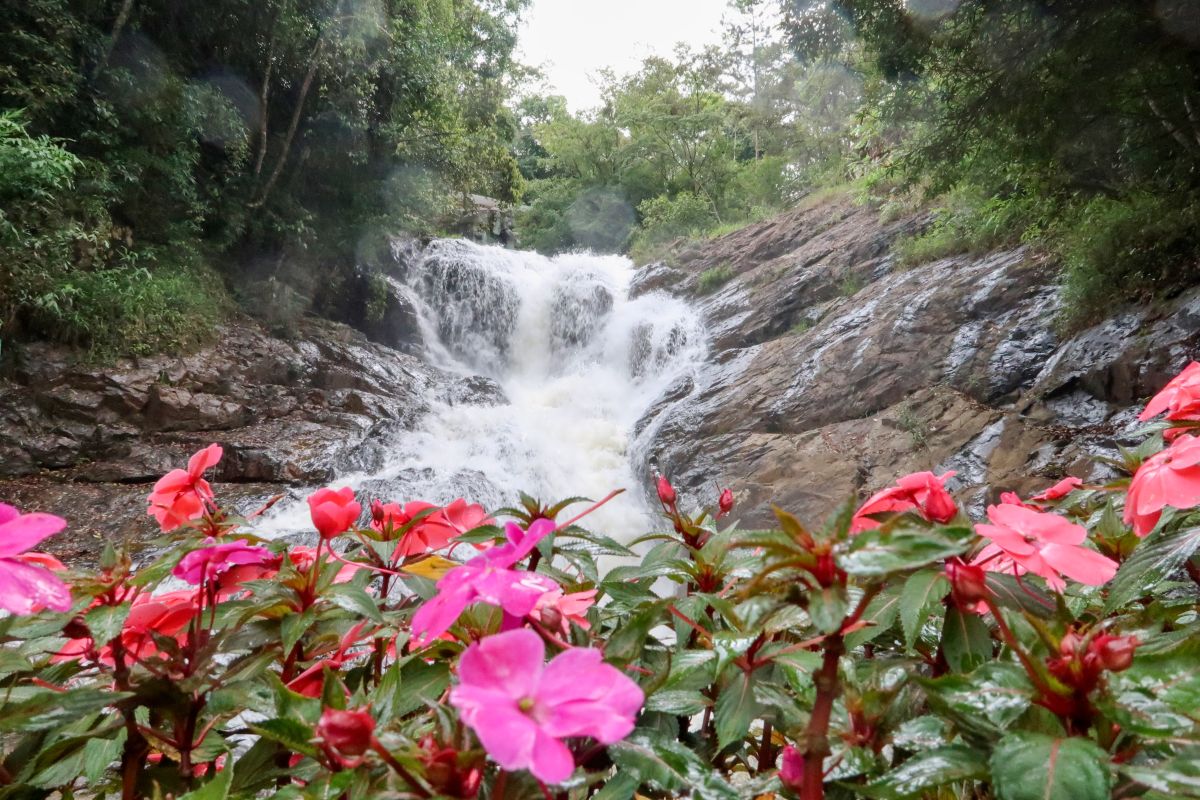 Weather Photos in Vietnam. Weather forecasts with beautiful photos by miha73