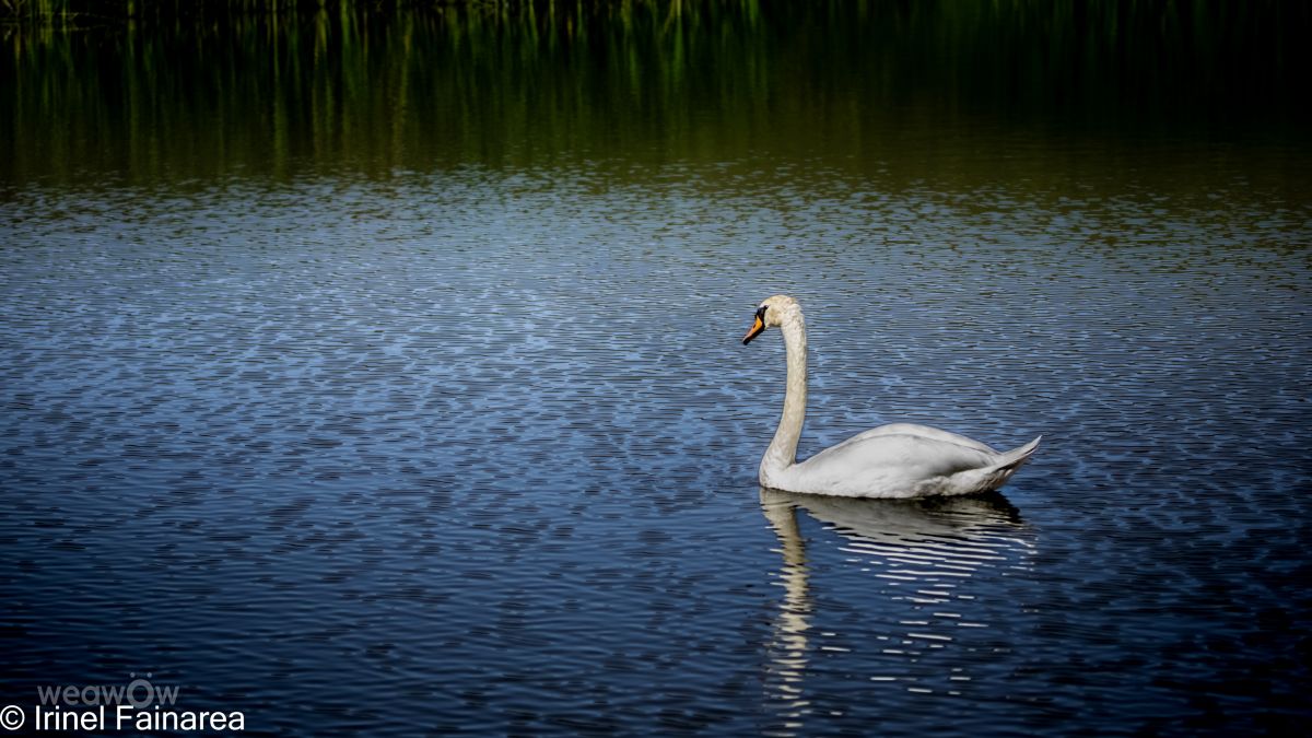 Fotos do tempo em Vaslui. Previsões do tempo com lindas fotos de IrinelFainarea