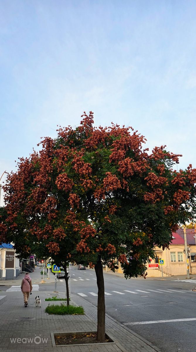 Fotos sobre el clima en Moldavia. Pronósticos del tiempo con hermosas fotos de Mircea