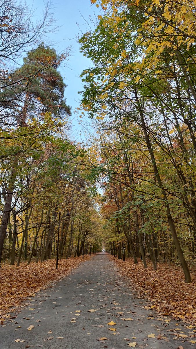 Fotógrafo Romek58, Fotos sobre el clima en Wieluń - Weawow