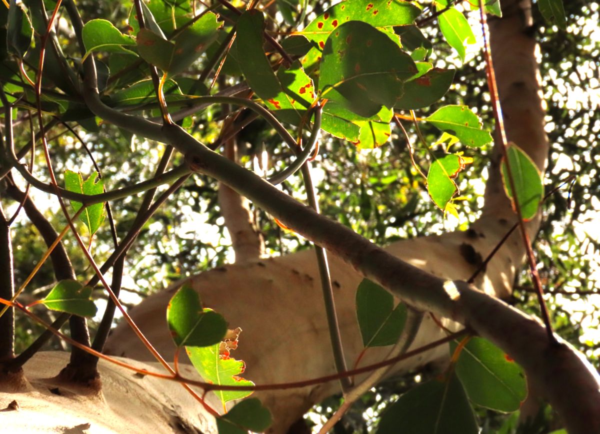 Weather Photos in Western Cape. Weather forecasts with beautiful photos by Step_Gently