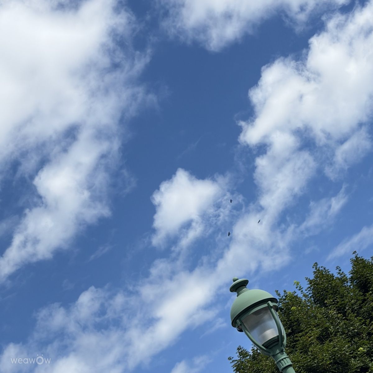 Weather Photos in Canada. Weather forecasts with beautiful photos by Lulu5523
