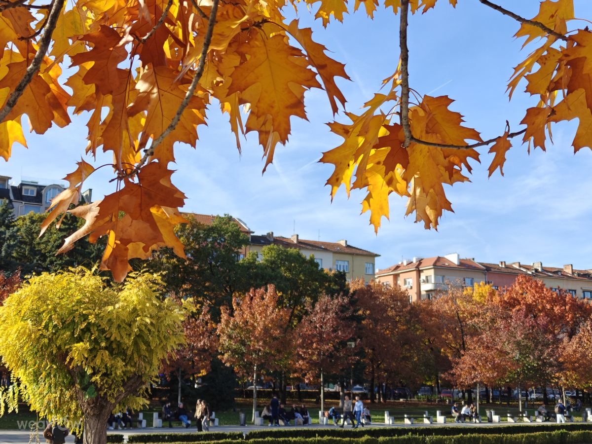 ソフィアの天気写真. Rosiiiの美しい写真による天気予報