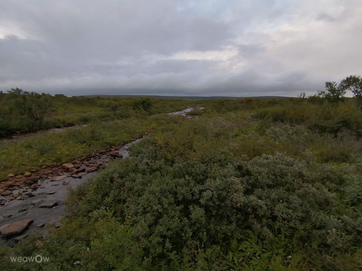Fotos do tempo em Vadsø. Previsões do tempo com lindas fotos de Juki
