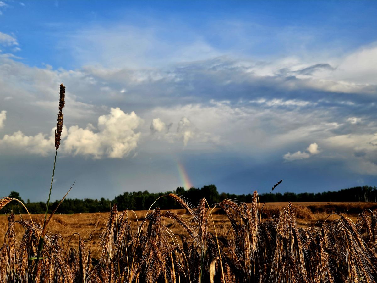 Фотографии Погоды в Тапа. Прогнозы погоды с чудесными фотографиями, сделанными KatreKal
