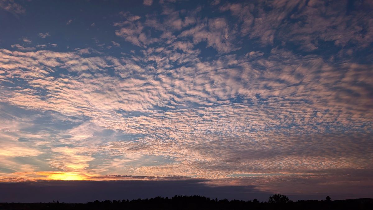 Fotos do tempo em Vilnius. Previsões do tempo com lindas fotos de Her_elegance_Lina