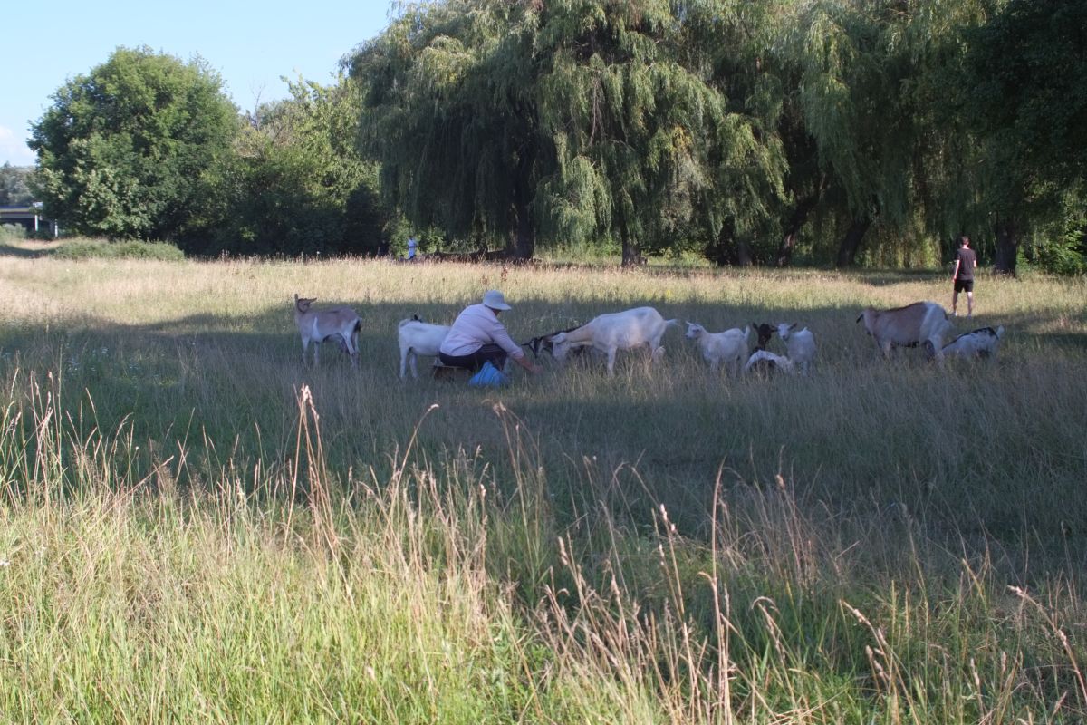 Photos météo à Cherkasy. Prévisions météo avec de superbes photos de Saho76