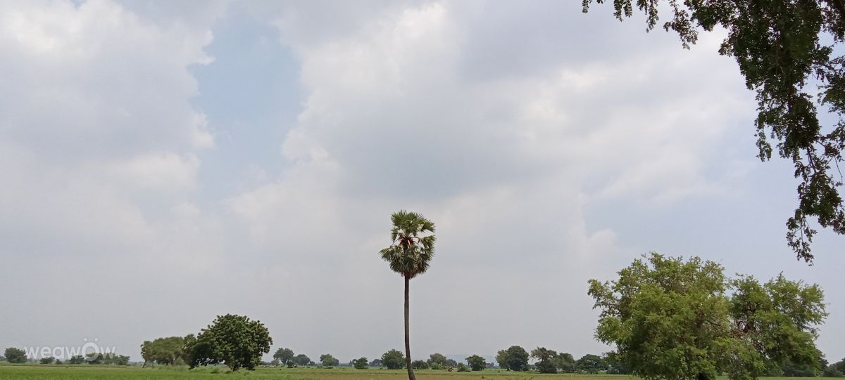 Weather Photos in India. Weather forecasts with beautiful photos by Imadabattini Bosu Babu