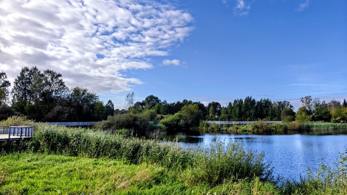 Fotos sobre el clima en Jelgava. Pronósticos del tiempo con hermosas fotos de newgen