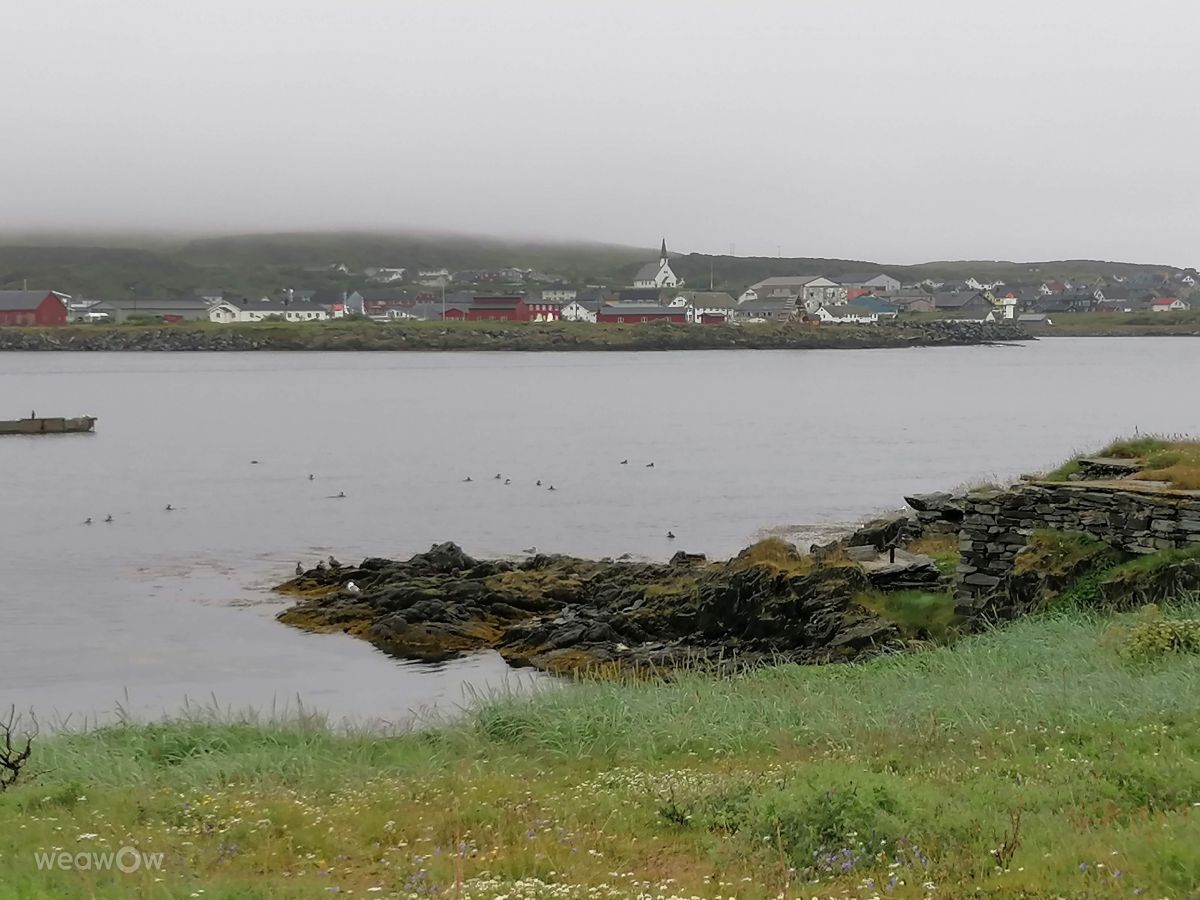 Berlevågの天気写真. Jukiの美しい写真による天気予報