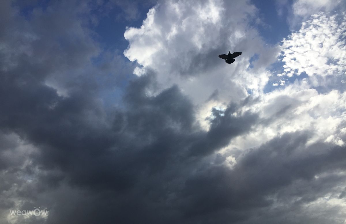 Weather Photos in New Zealand. Weather forecasts with beautiful photos by Cloudscapes