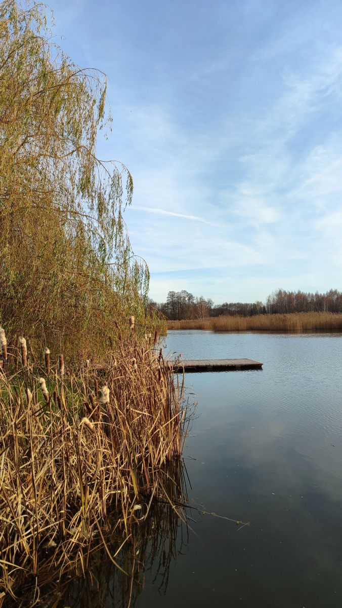 Photographer Romek58, Weather Photos in Województwo Łódzkie - Weawow