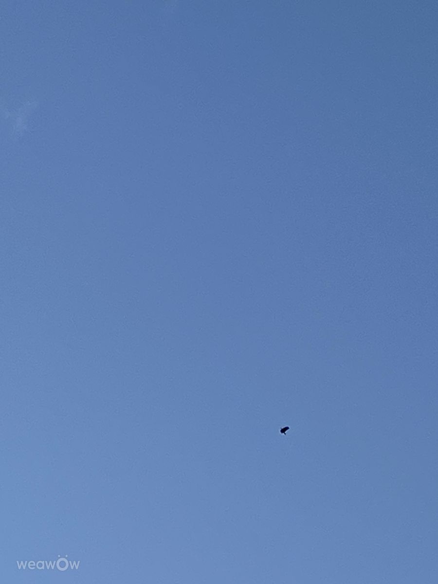 摄影师 Lulu5523，le Plateau的天气照片 - Weawow