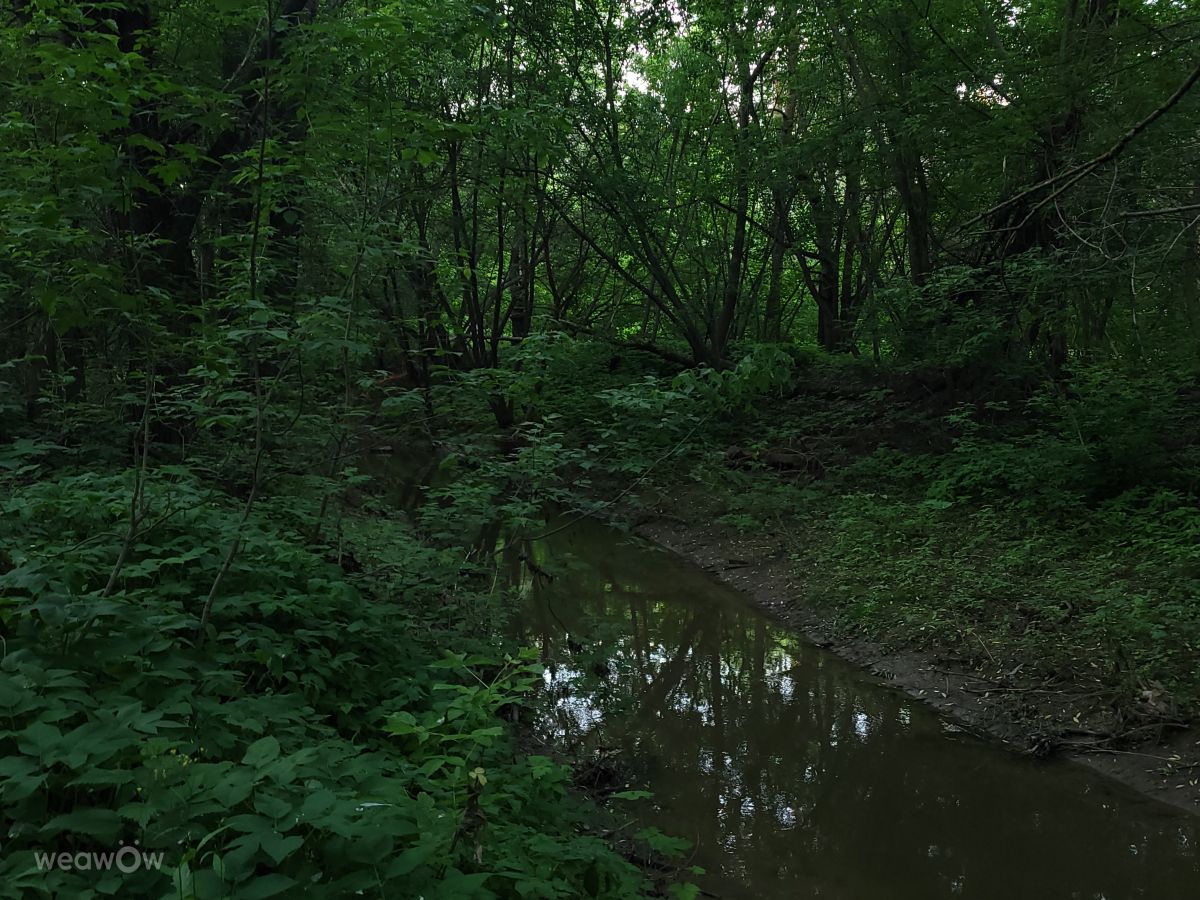 Photographer Виктор_Сластёнов, Weather Photos in Kazan’ - Weawow