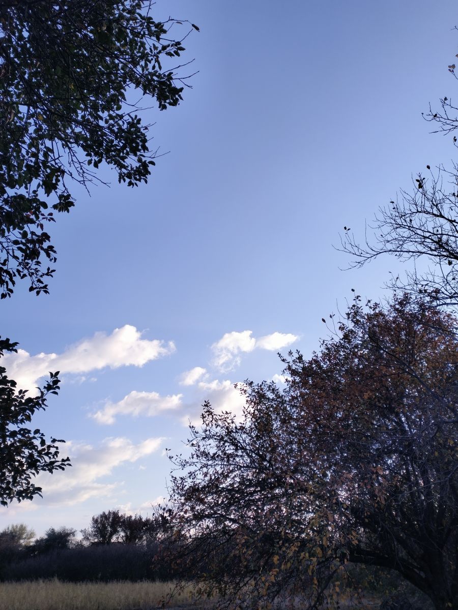 Rostov的天气照片. 天气预报，带Andy_Danskylesova精美的照片