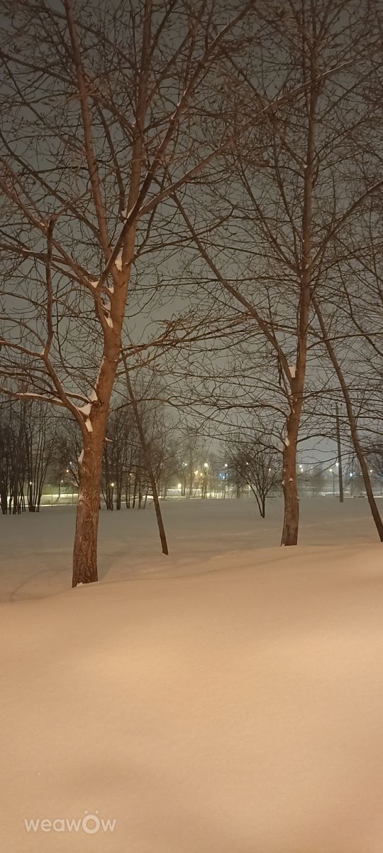 ズヴェニゴロドの天気写真. Ратиборの美しい写真による天気予報