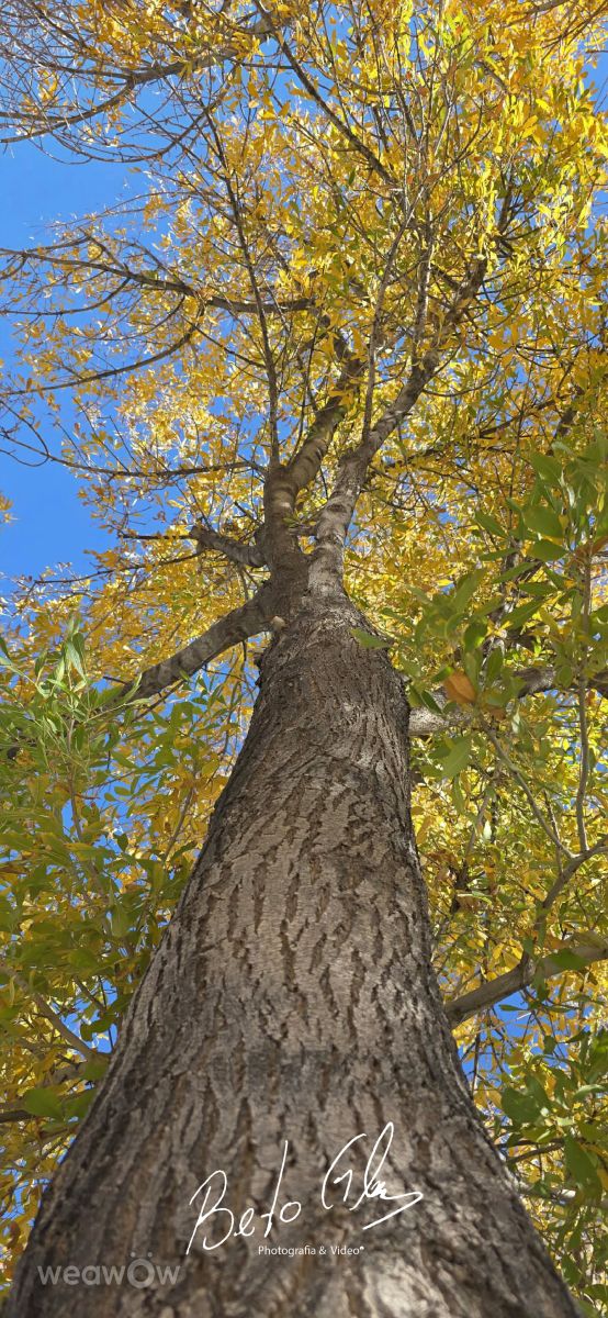 Weather Photos in Ciudad Juárez. Weather forecasts with beautiful photos by BETOGONZALEZ