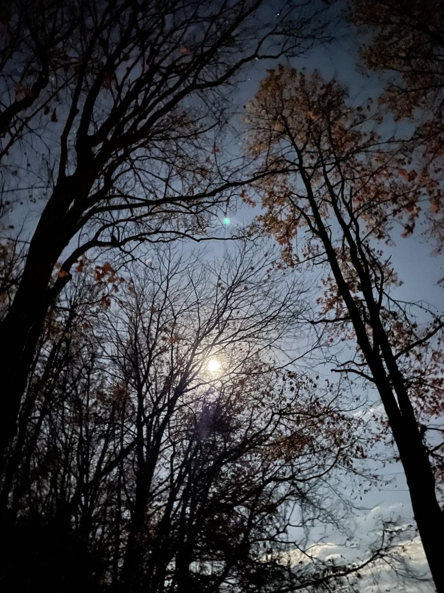 新泽西州的天气照片. 天气预报，带Kristina Elissa Bergman精美的照片