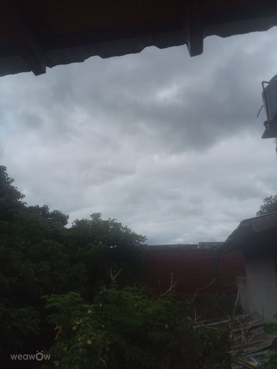 Weather Photos in Grand Bourg. Weather forecasts with beautiful photos by GabyOdre