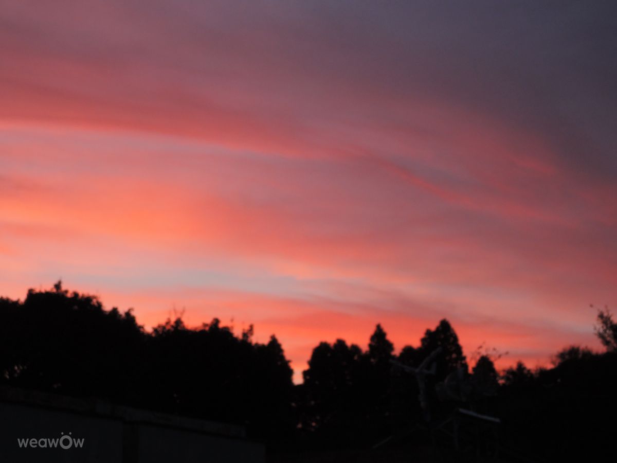 Weather Photos in Chiba. Weather forecasts with beautiful photos by yurumazi