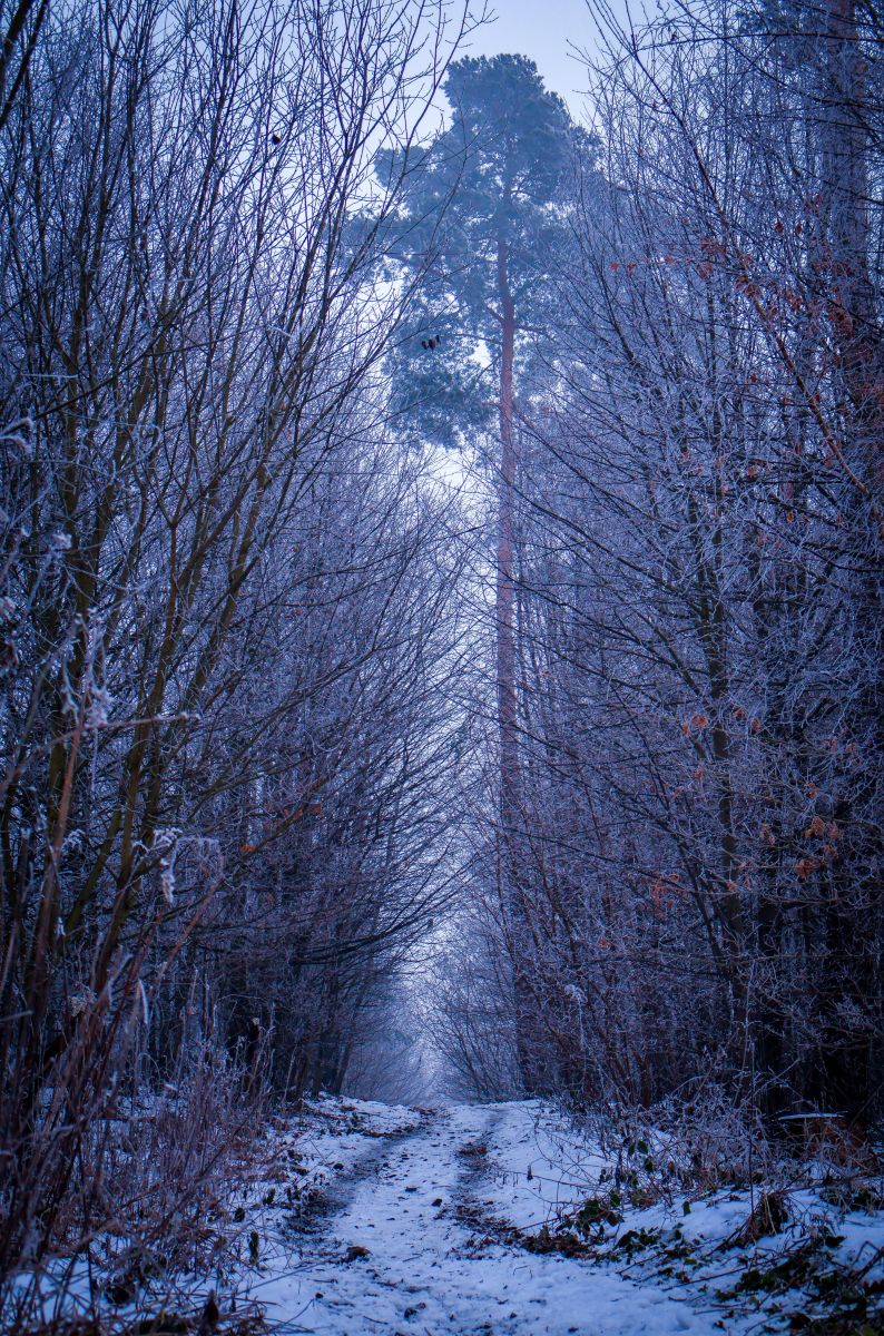 Photographer _feela, Weather Photos in Rychvald - Weawow