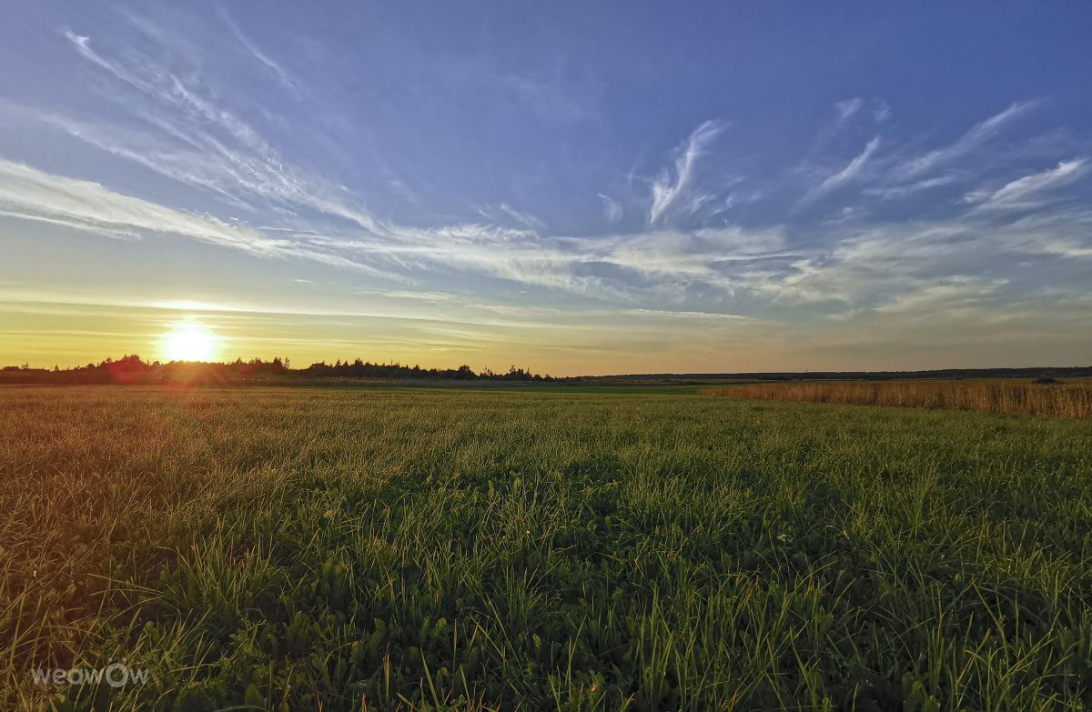 Fotos do tempo em Kostroma. Previsões do tempo com lindas fotos de Eva_Eva