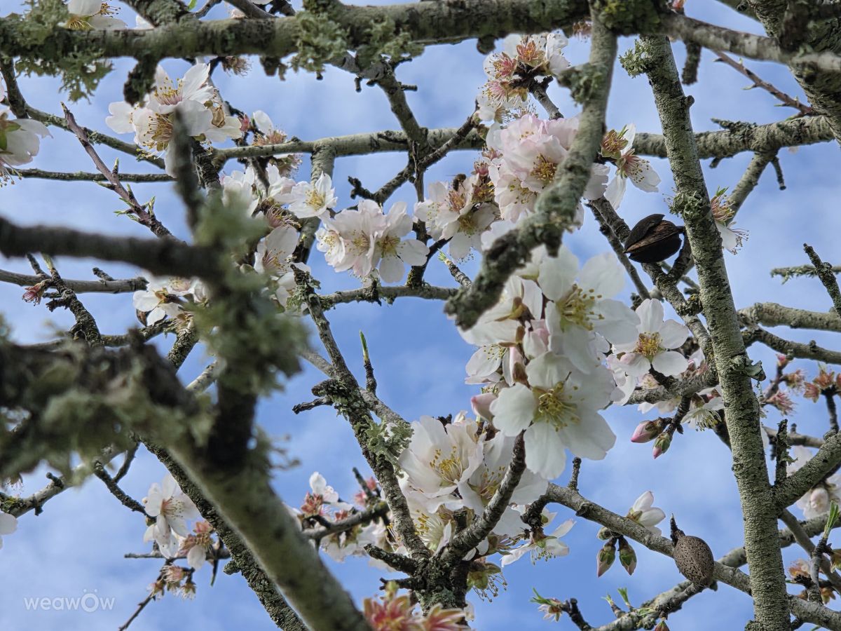 Weather forecasts with beautiful photos by Brtd