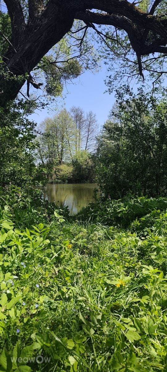 Photos météo à Slavuta. Prévisions météo avec de superbes photos de Roma Roma
