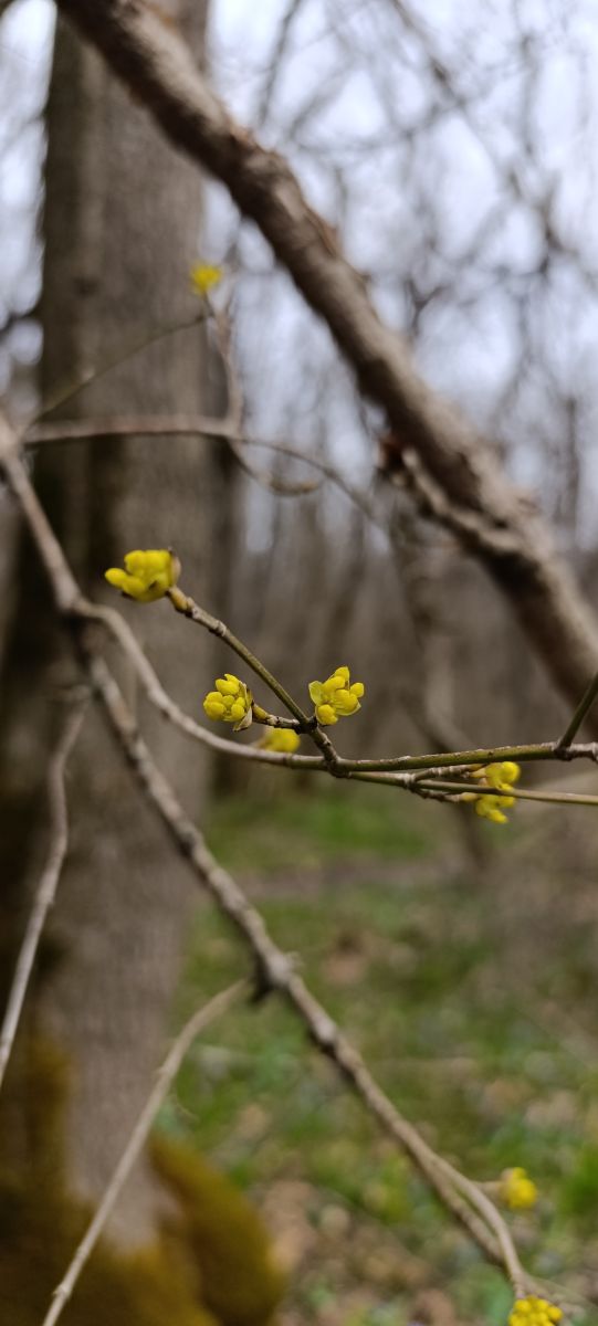 Stavropol Krayの天気写真. Lena_Glukhovaの美しい写真による天気予報