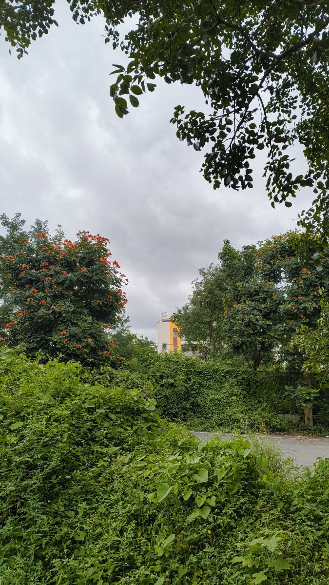 Wetter Photos Karnataka. Wettervorhersagen mit schönen Fotos von Mr么Jarvis