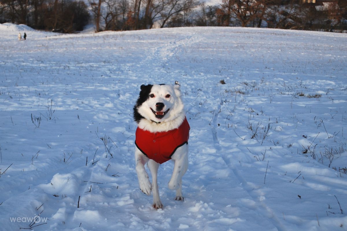 Weather forecasts with beautiful photos by Marcela Cervenakova