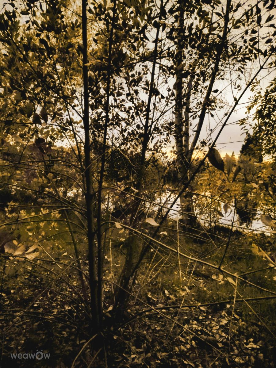 奇科的天气照片. 天气预报，带Ghostroku精美的照片