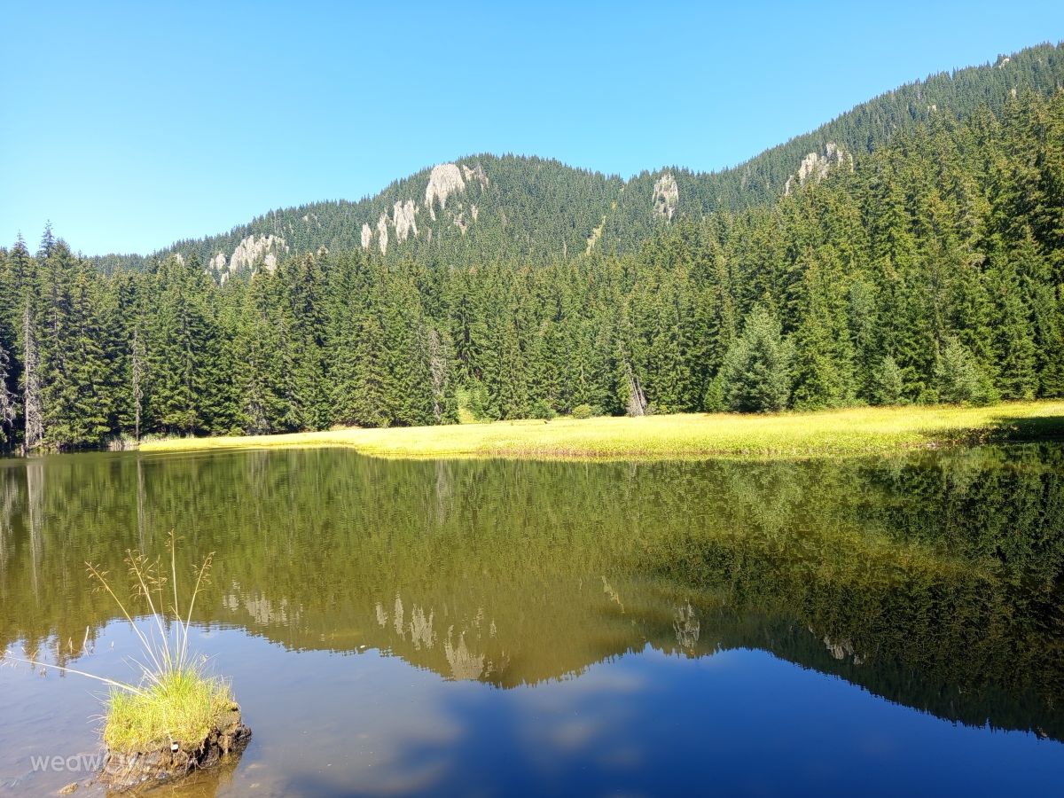 Weather Photos in Smolyan. Weather forecasts with beautiful photos by Nikkyye