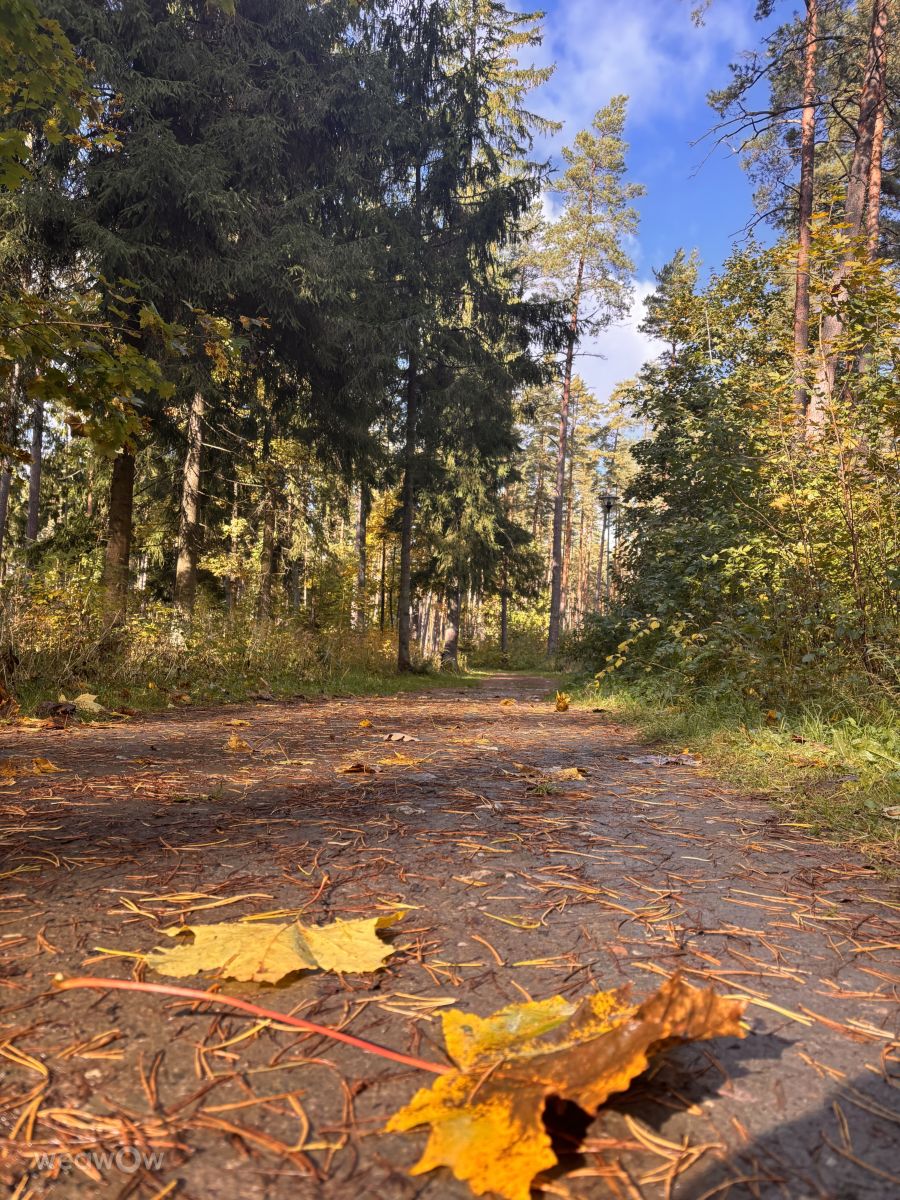Fotos sobre el clima en Jelgava Municipality. Pronósticos del tiempo con hermosas fotos de Ewwa393