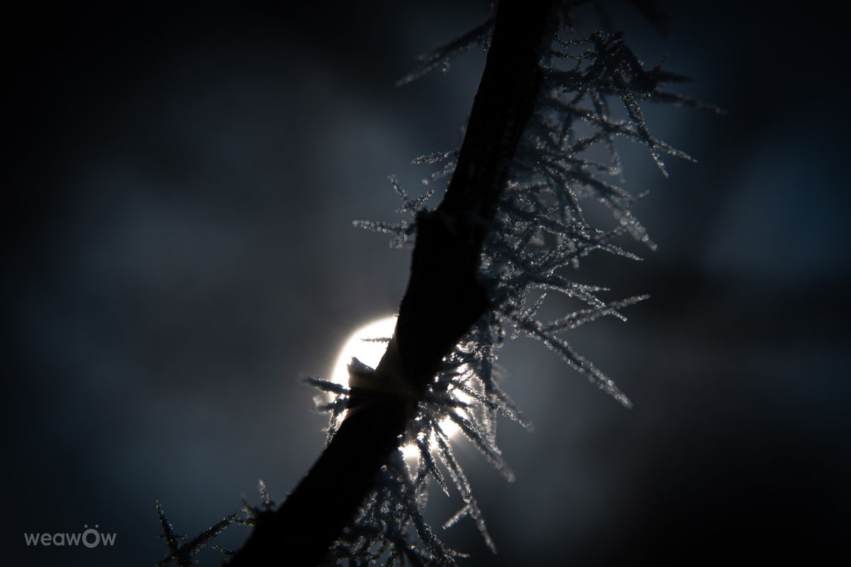 Photographer RobertNagaj, Weather Photos in Berlin - Weawow