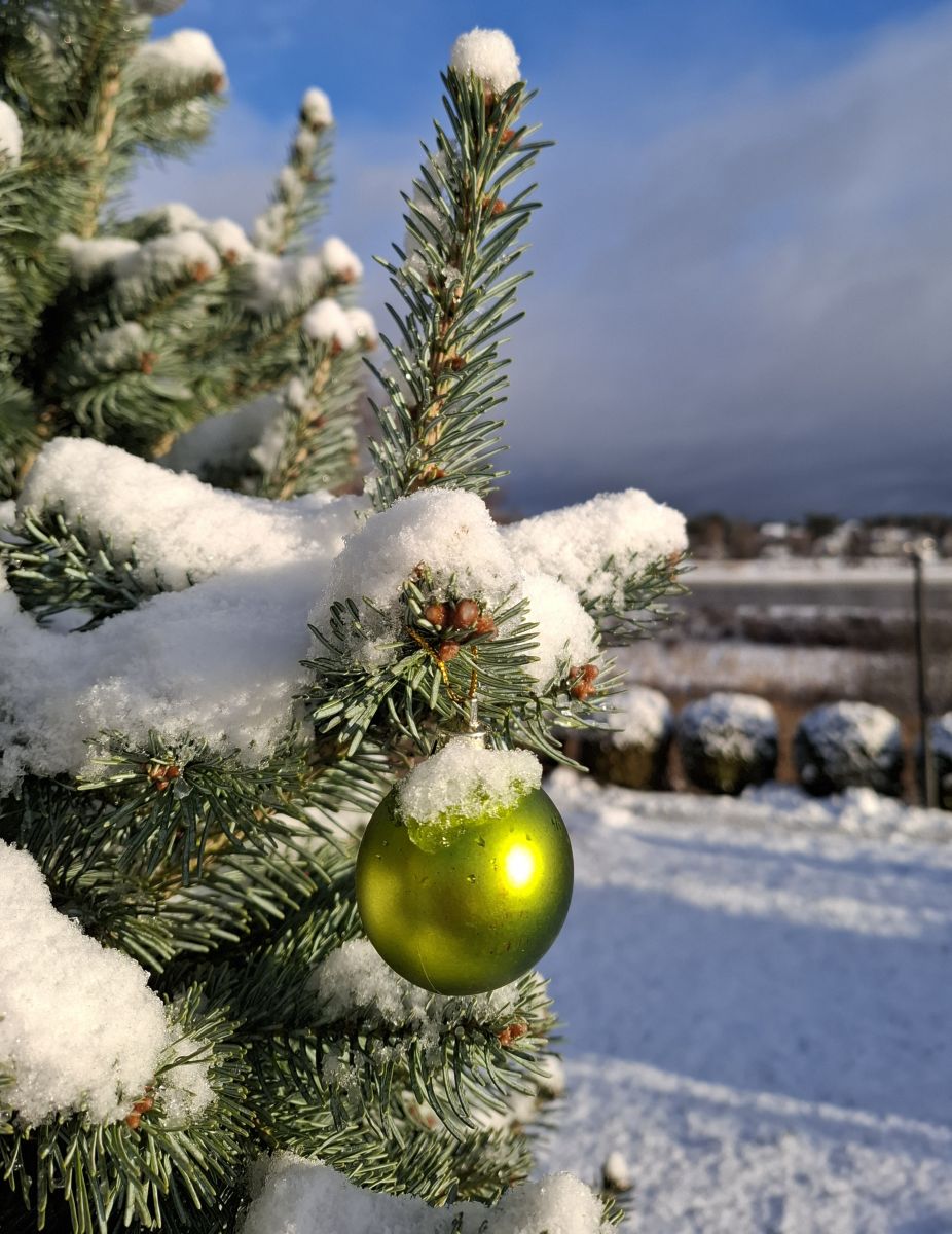 Photos météo à Pskov. Prévisions météo avec de superbes photos de NinaP