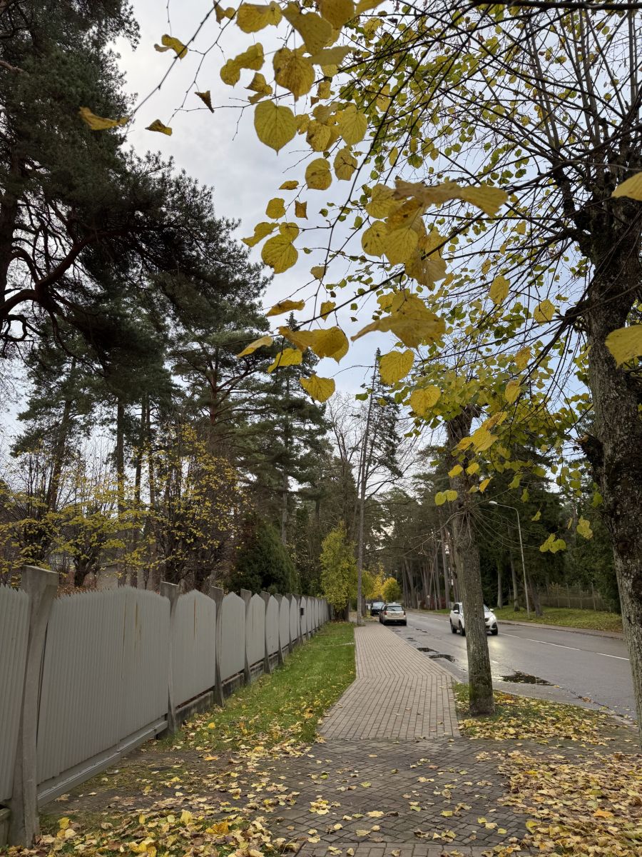 Photograph Svet-Lana, Wetter Photos Jūrmala - Weawow