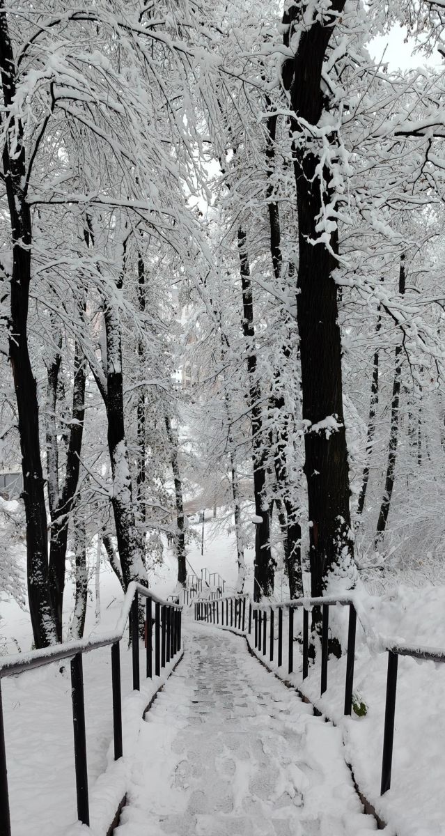 Weather forecasts with beautiful photos by GetLucky