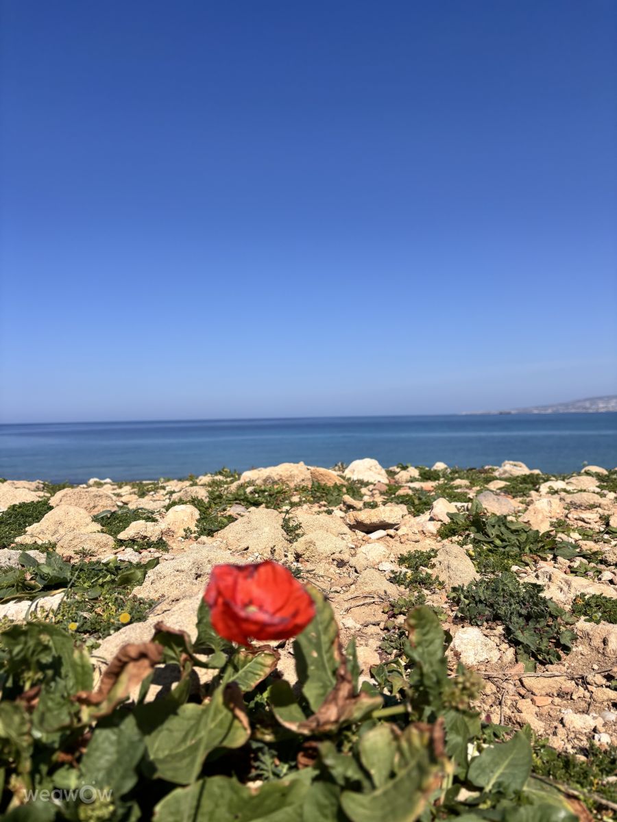 Prévisions météo avec de superbes photos de Ewwa393