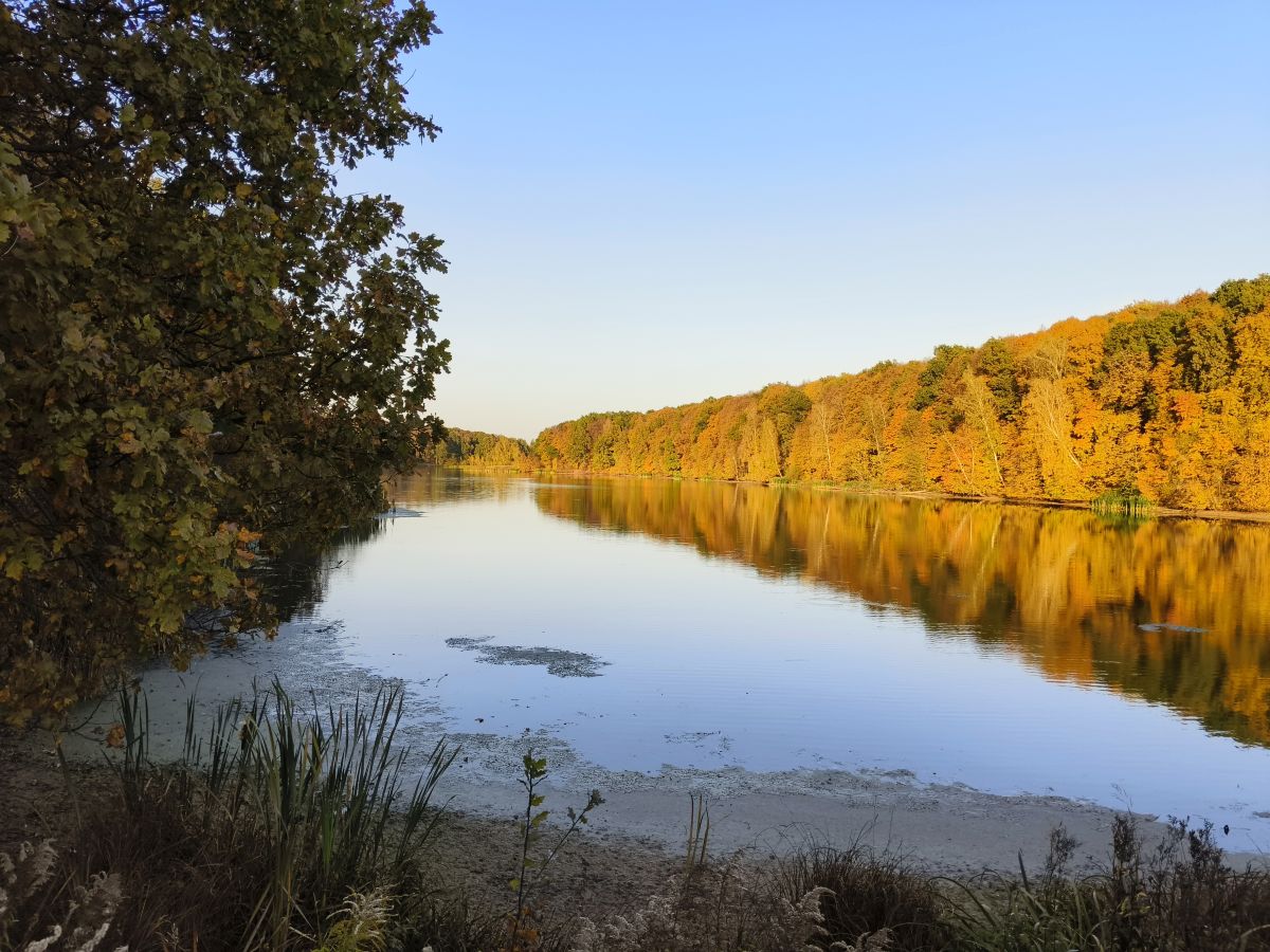Photographer Aleksei, Weather Photos in Tula - Weawow