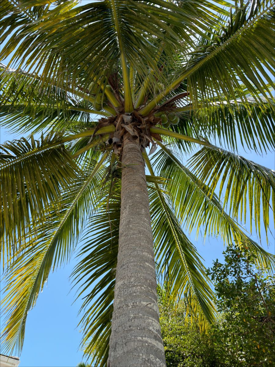 Weather Photos in Turks and Caicos Islands. Weather forecasts with beautiful photos by Roberto Padilla
