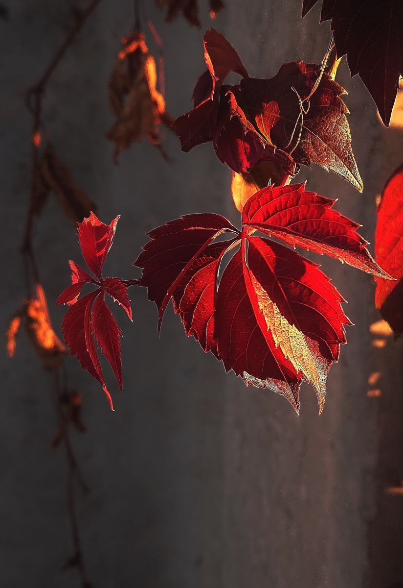 Weather Photos in Kharkivs’ka Oblast’. Weather forecasts with beautiful photos by Михаил Гавриков