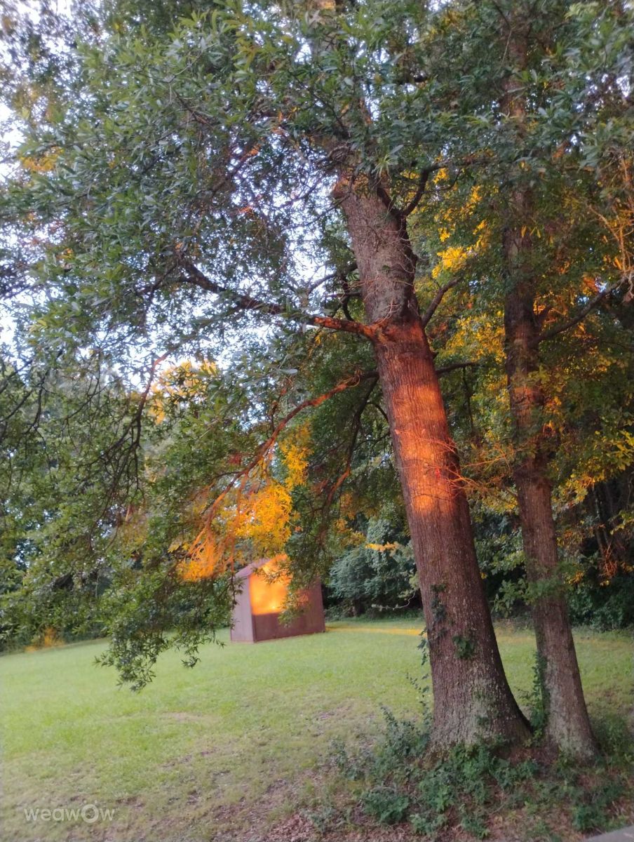 Weather Photos in Riverwalk Parkway. Weather forecasts with beautiful photos by Awcat