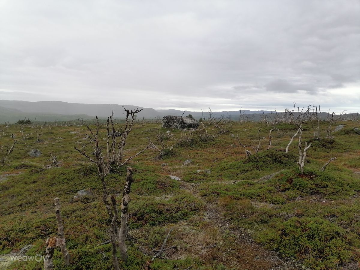 Weather Photos in Finnmark. Weather forecasts with beautiful photos by Juki
